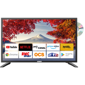 TV 19 SMART DVD