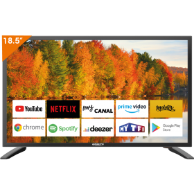 TV 19'' SMART 1ère monte