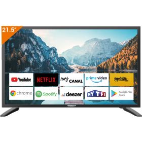 TV 22'' SMART 1ère monte