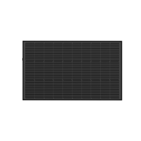 ECOFLOW 2 x panneau solaire rigide 100W